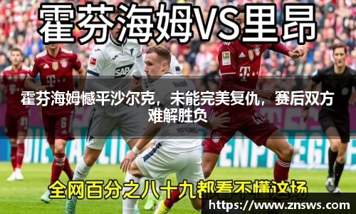 霍芬海姆憾平沙尔克，未能完美复仇，赛后双方难解胜负