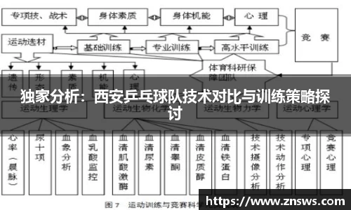 独家分析：西安乒乓球队技术对比与训练策略探讨