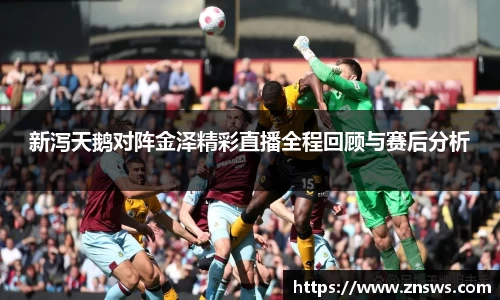 新泻天鹅对阵金泽精彩直播全程回顾与赛后分析